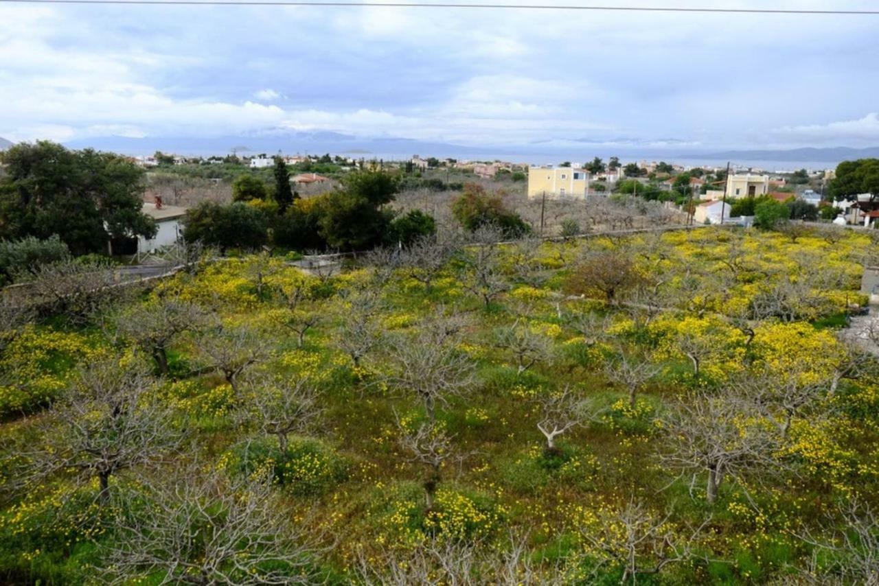 Villa Konstantinos Aegina Exterior photo